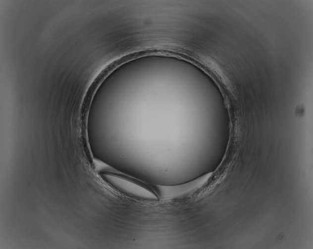 X0000091090924200708271253