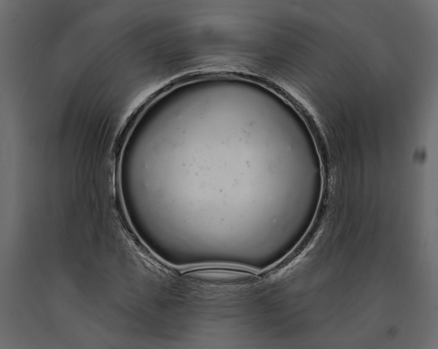 X0000091090925200708271253