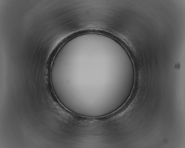 X0000091090926200708271253