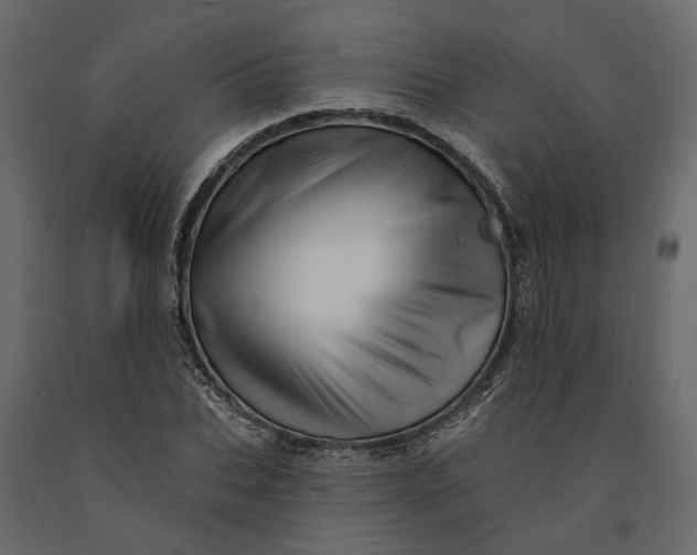 X0000091090927200708271253