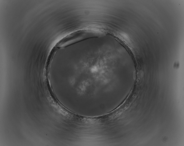 X0000091090928200708271253