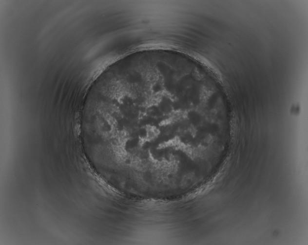 X0000091090929200708271253