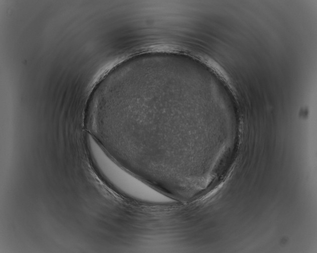 X0000091090930200708271253