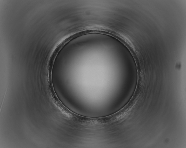 X0000091090931200708271253