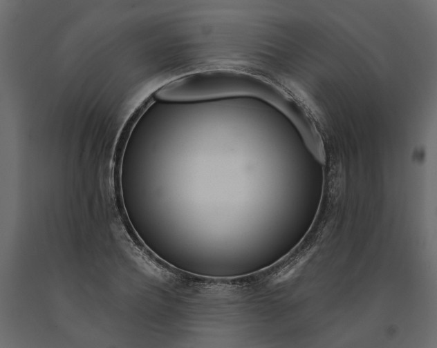 X0000091090932200708271253