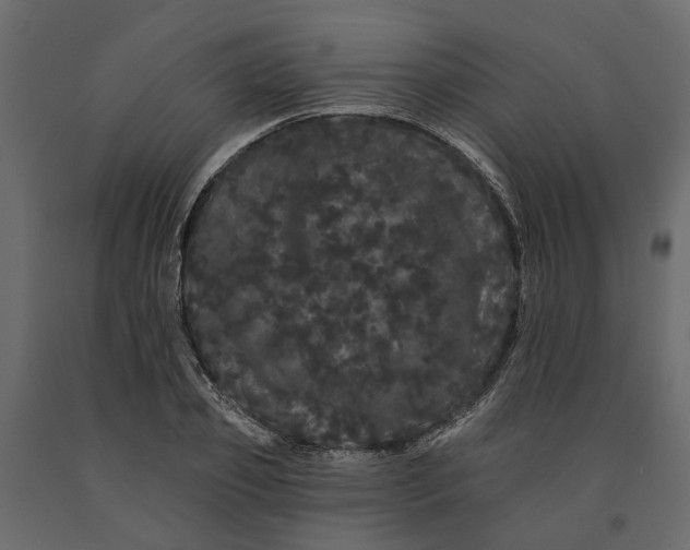 X0000091090933200708271253