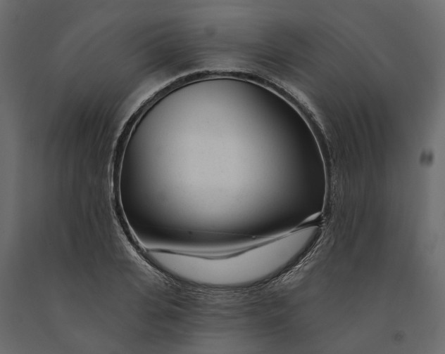 X0000091090935200708271253