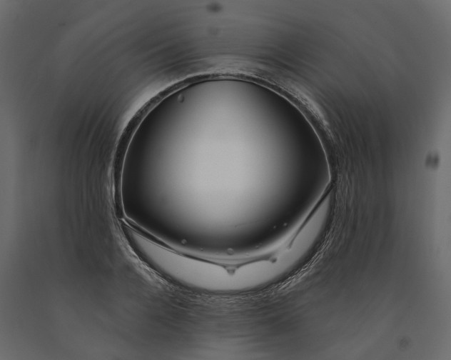 X0000091090936200708271253