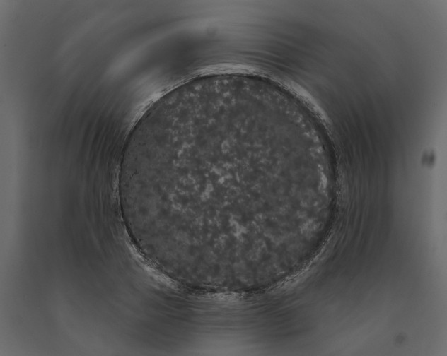 X0000091090937200708271253