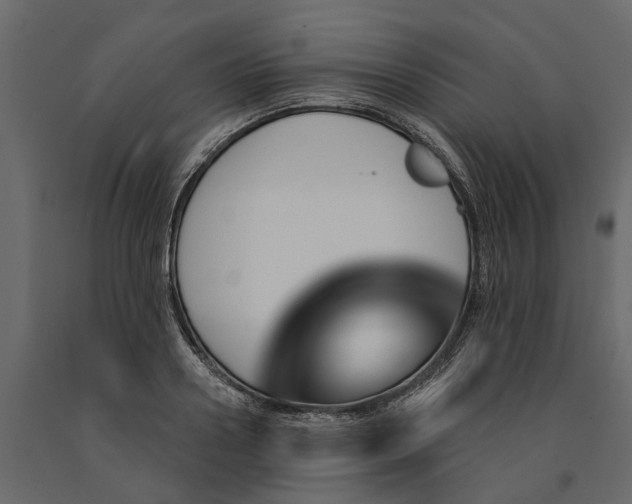 X0000091090938200708271253