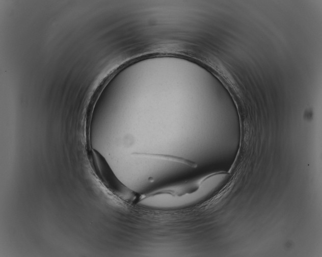 X0000091090939200708271253