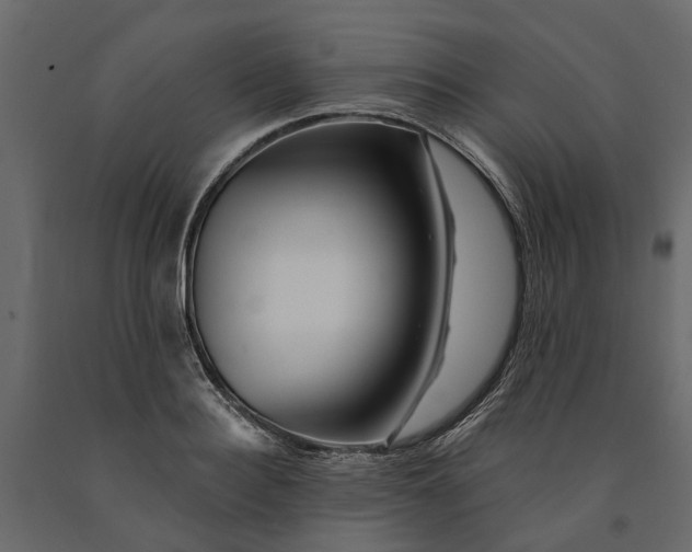 X0000091090940200708271253