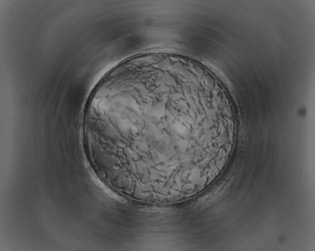 X0000091090941200708271253