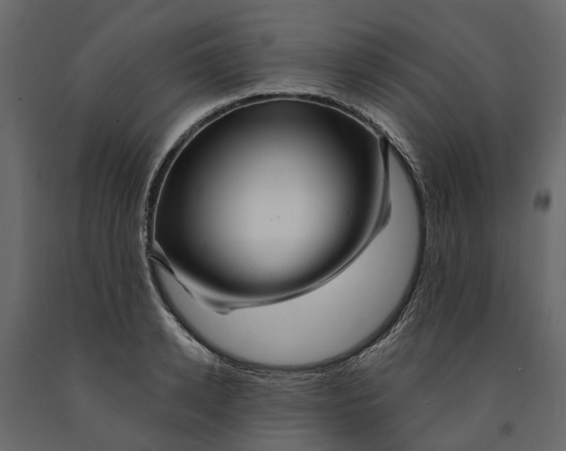 X0000091090942200708271253