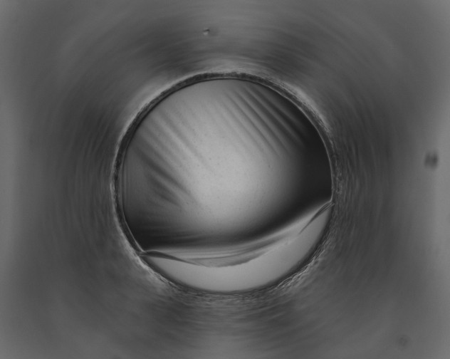 X0000091090943200708271253