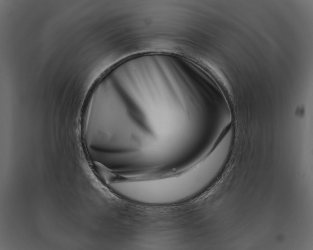 X0000091090944200708271253