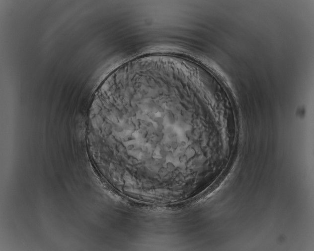 X0000091090945200708271253