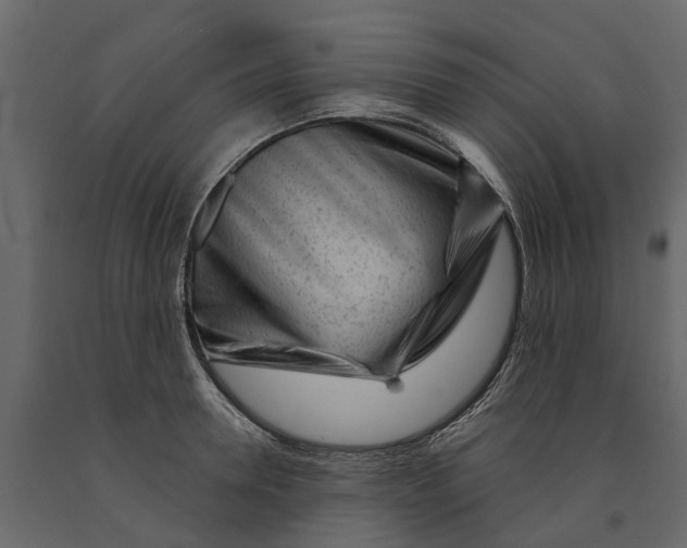 X0000091090946200708271253