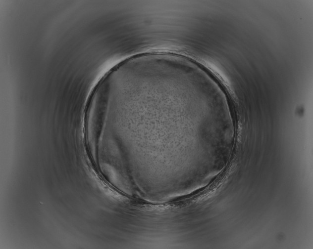 X0000091090948200708271253