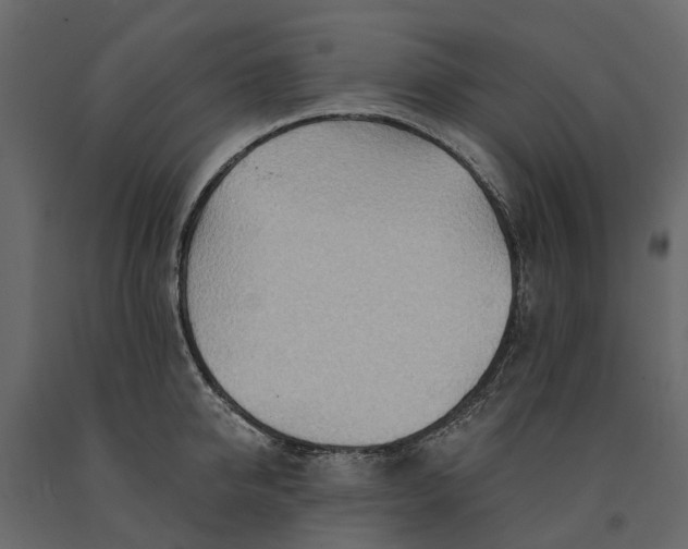 X0000091090950200708271253