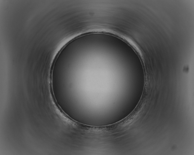 X0000091090951200708271253