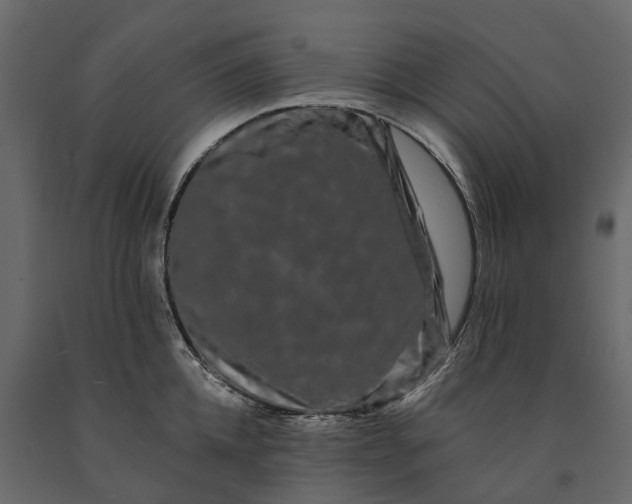 X0000091090952200708271253