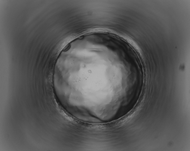 X0000091090953200708271253