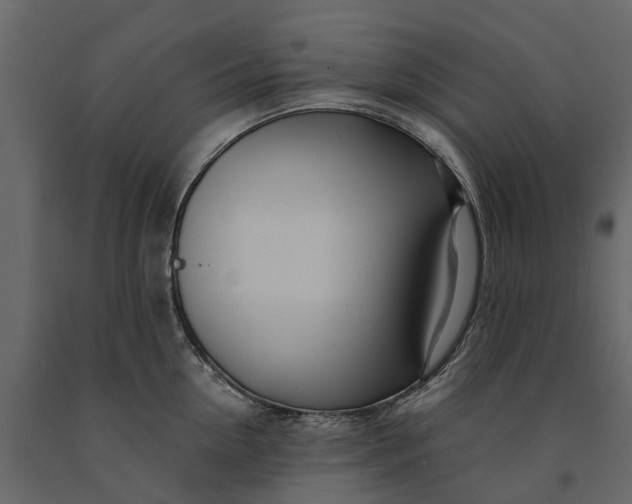 X0000091090954200708271253