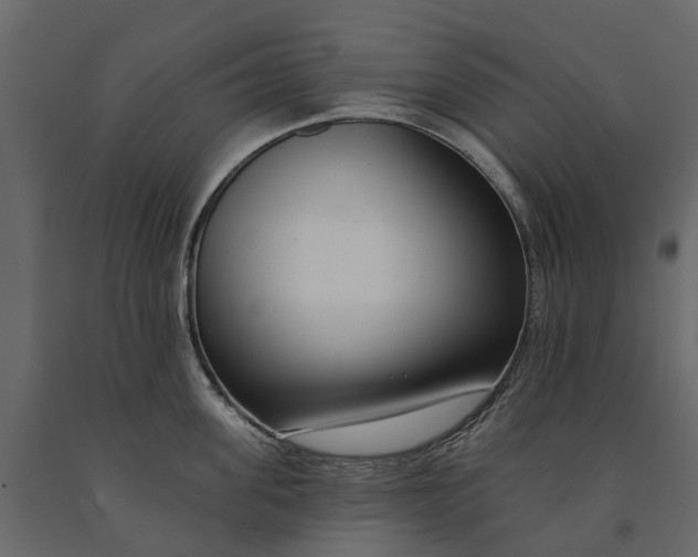 X0000091090955200708271253