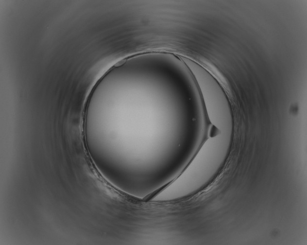 X0000091090956200708271253