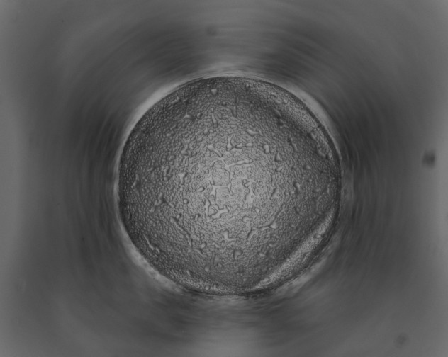 X0000091090957200708271253