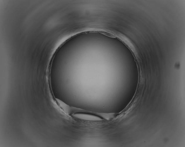 X0000091090958200708271253