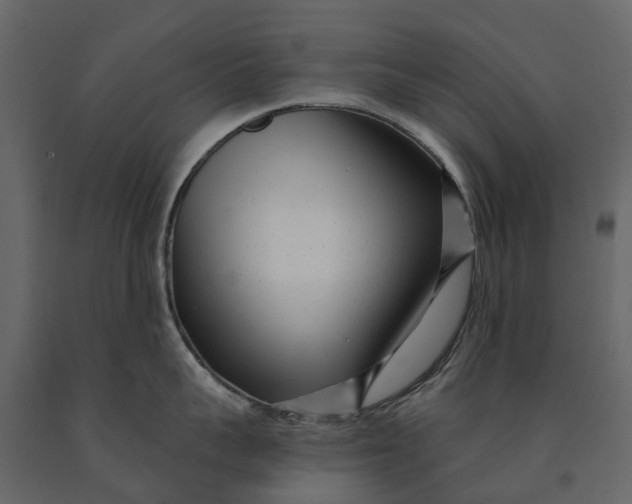 X0000091090959200708271253