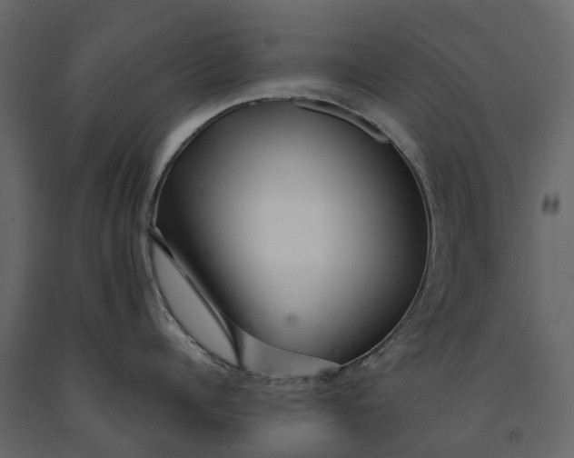 X0000091090960200708271253