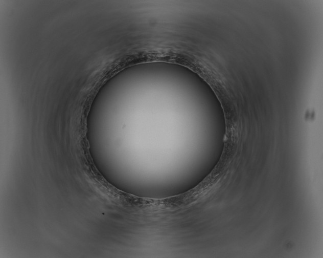 X0000091090961200708271252