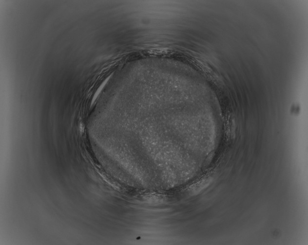 X0000091090962200708271252