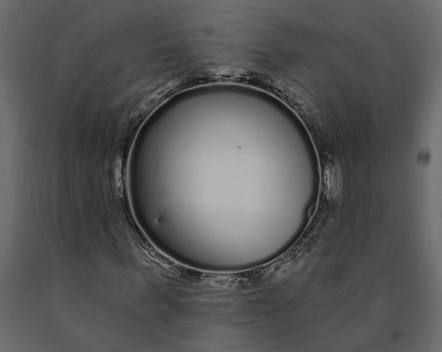 X0000091090963200708271252