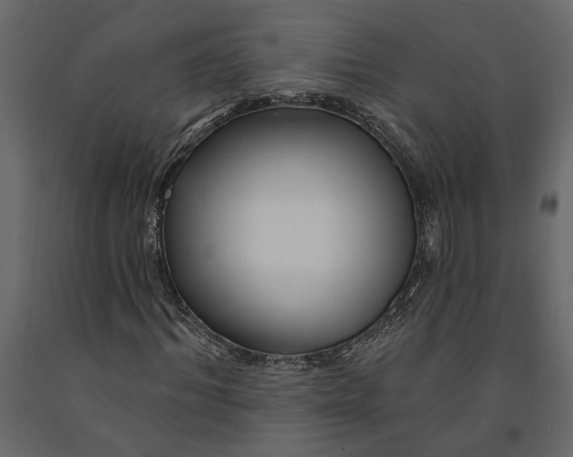 X0000091090964200708271252