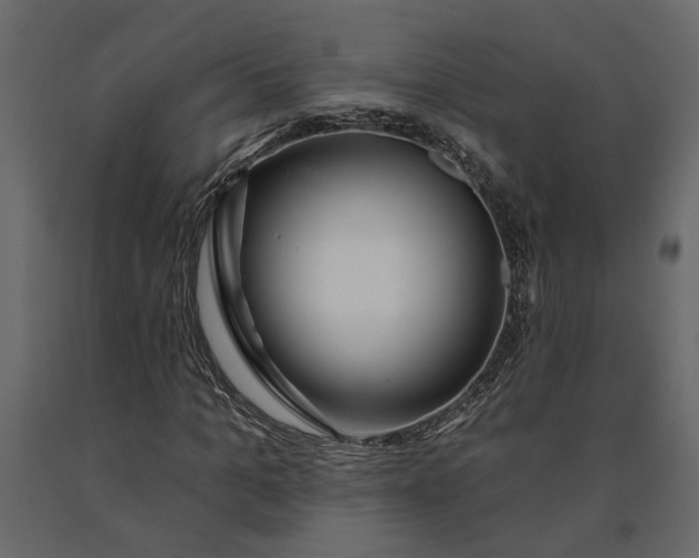 X0000091090965200708271252