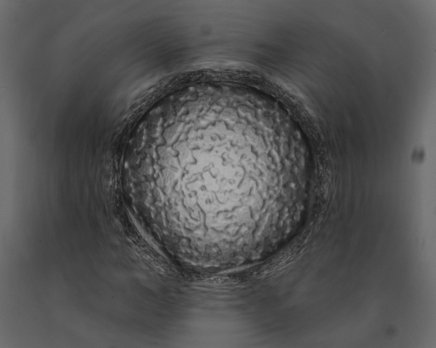 X0000091090966200708271252