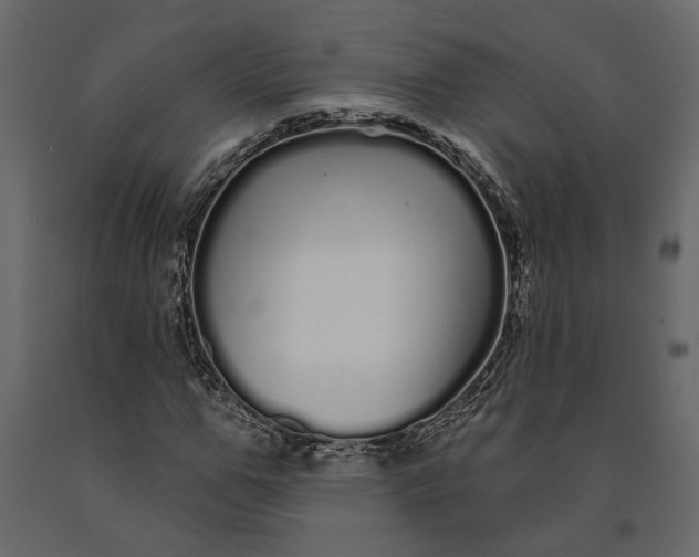 X0000091090967200708271252