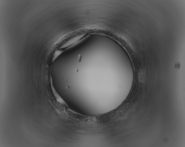 X0000091090968200708271252