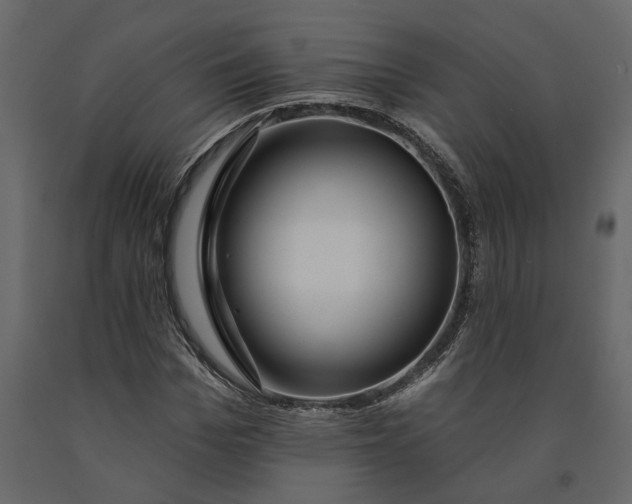 X0000091090969200708271252