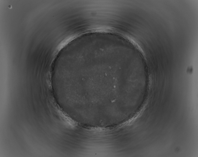 X0000091090970200708271252