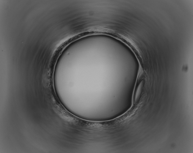 X0000091090971200708271252