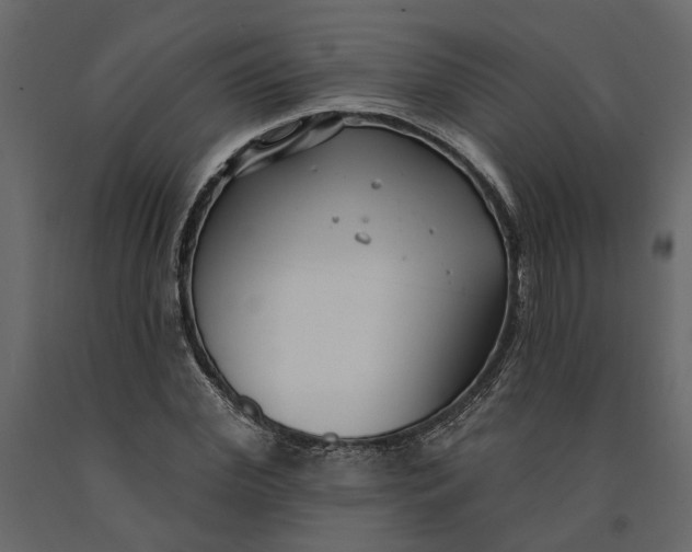 X0000091090972200708271252