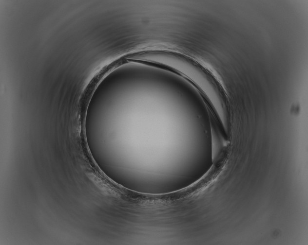 X0000091090973200708271252