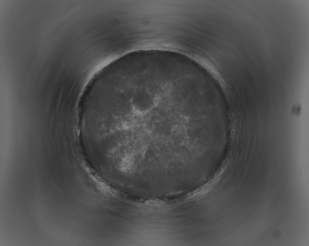 X0000091090974200708271252