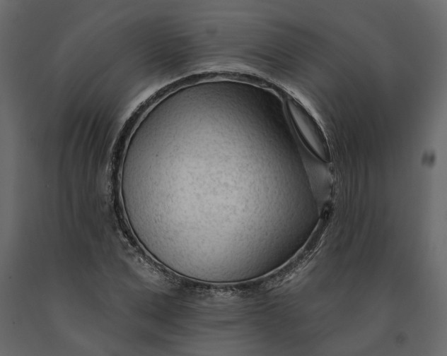 X0000091090975200708271252