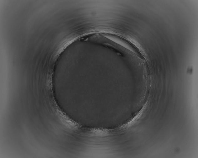 X0000091090977200708271252